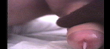 photo #10600
