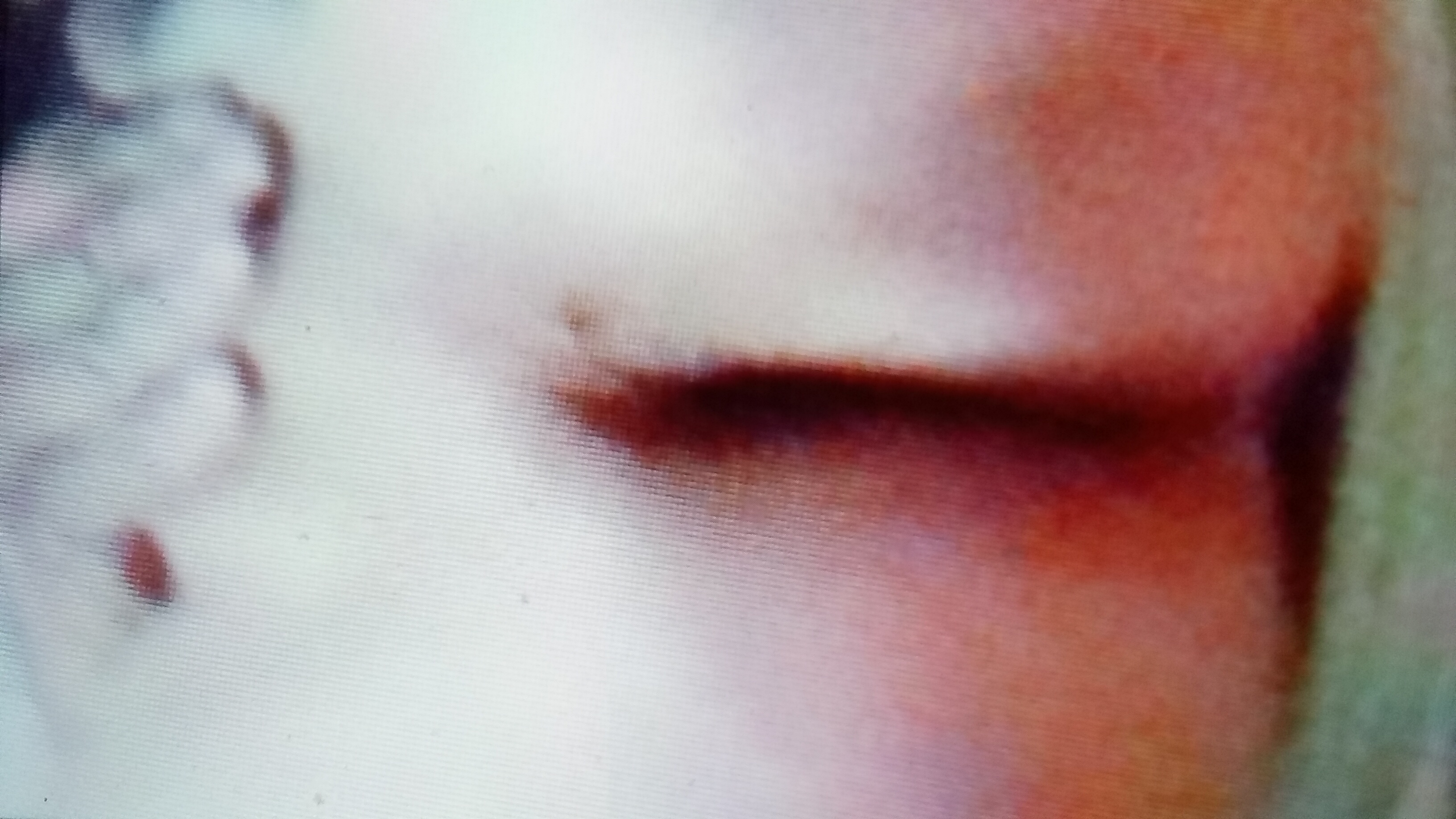 photo #12902