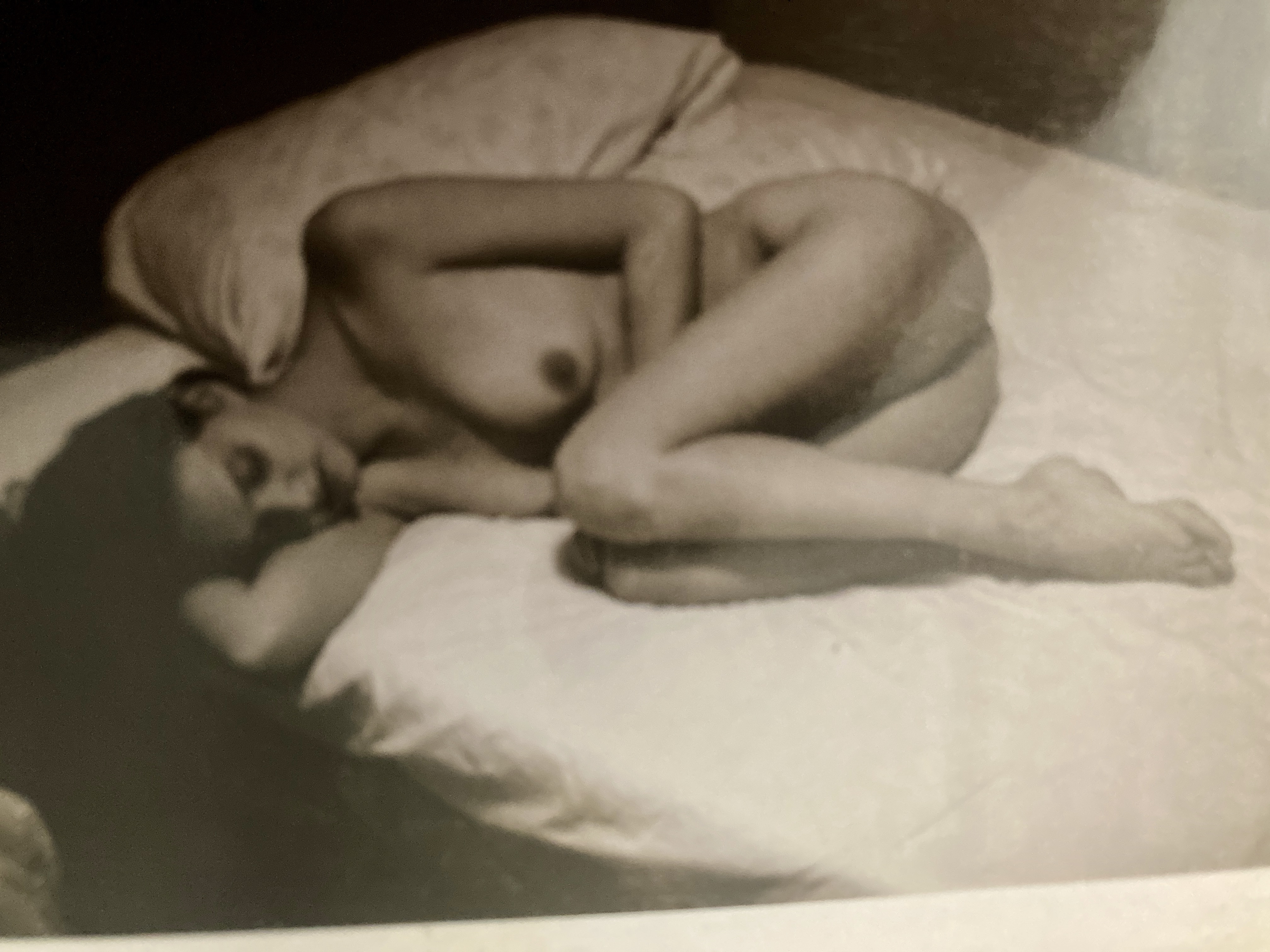 photo #14073