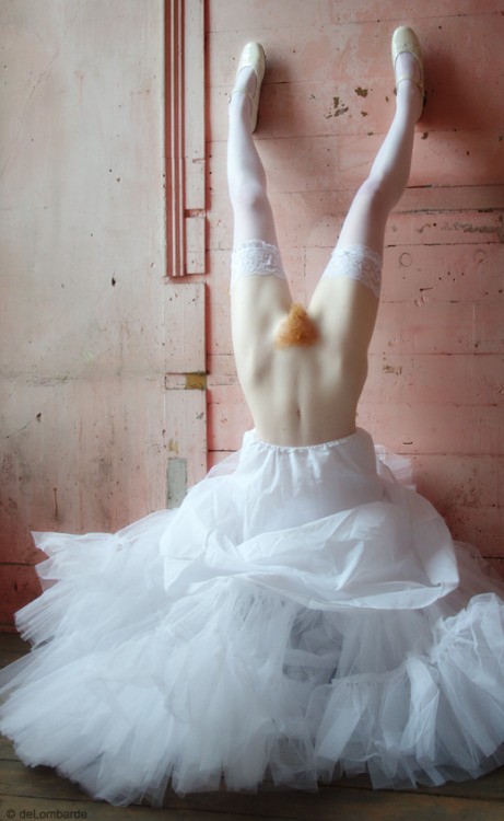 photo #15282