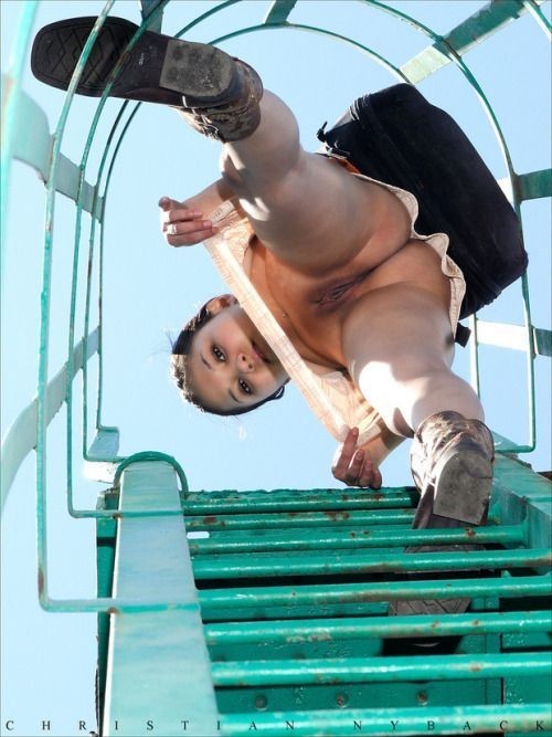 photo #16293