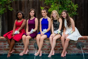 What a lovely line up